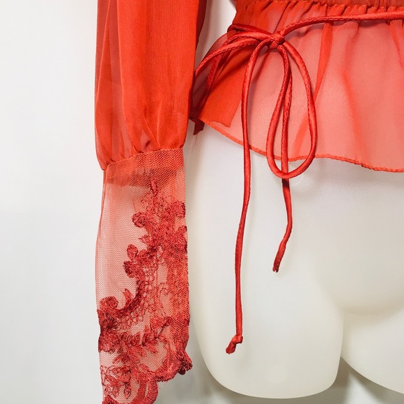 Vintage Burnt Orange Sheer Embroidered Tie Top - Picture 8 of 9